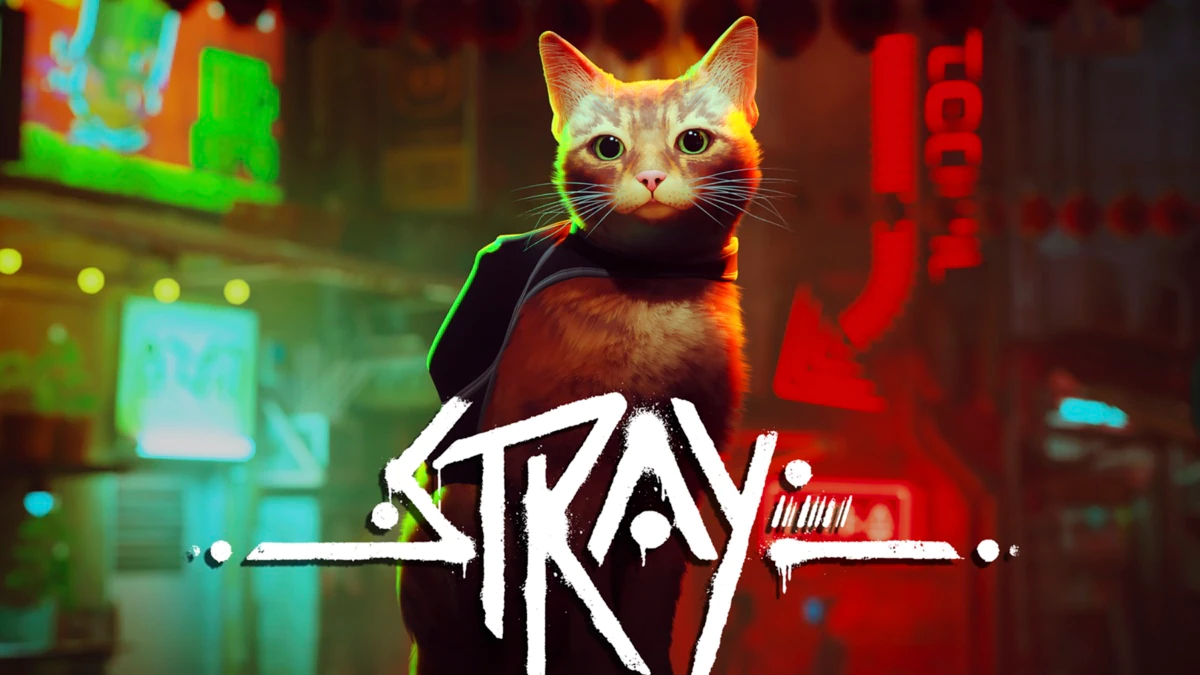 Stray cat video game helps real cats