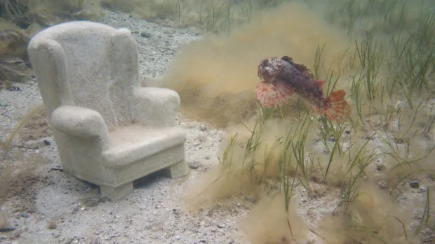 FIRST PERSON |  Ocean Floor armchair wows underwater explorers |  CBC News