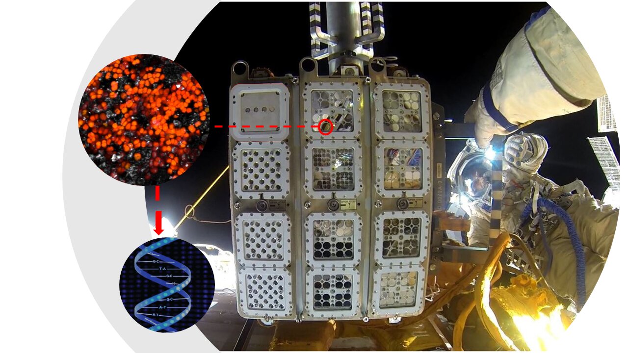 Exposed!  The International Space Station tests organisms and materials in space