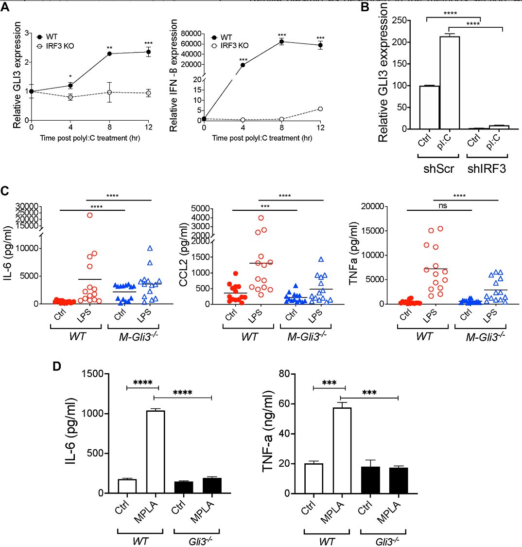 A novel mechanism of regulation of the oncogenic transcription factor GLI3 through Toll-like receptor signaling