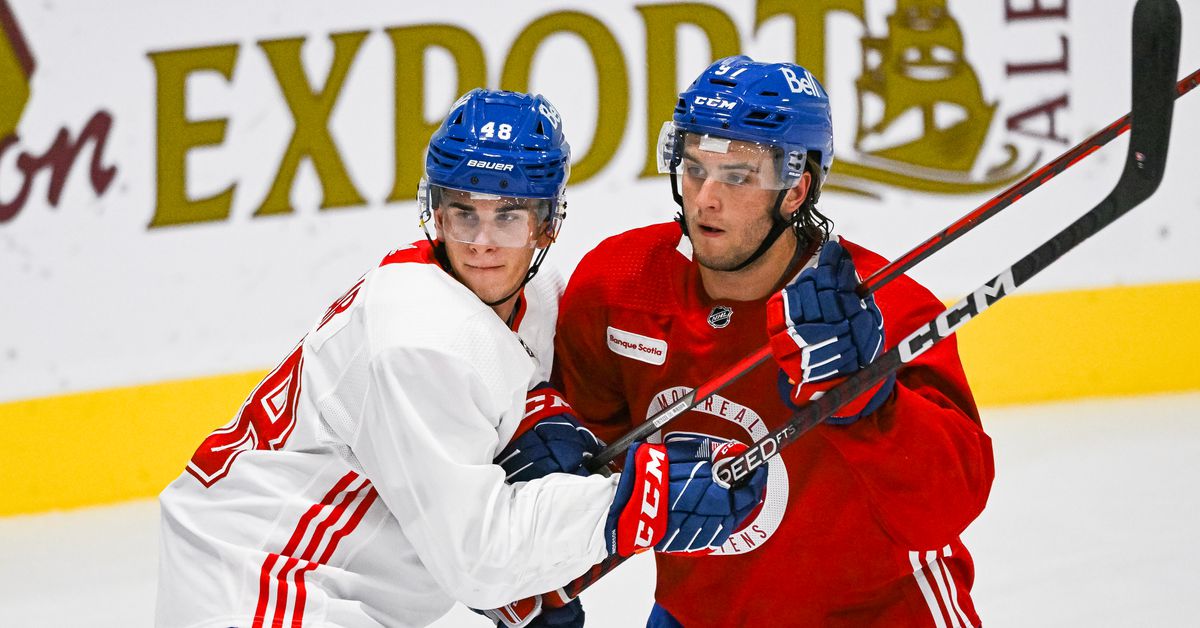 2022 Montreal Canadiens Top 25 Under 25: Community Vote