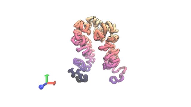 AI tools can predict DNA structure and regulation