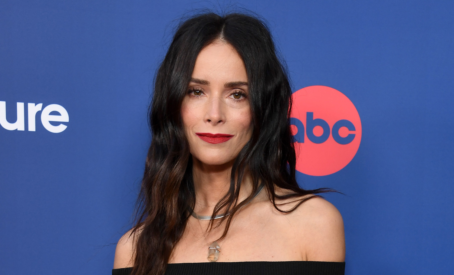 Abigail Spencer gets personal about the "toughest year" of her life in an emotional open letter to fans