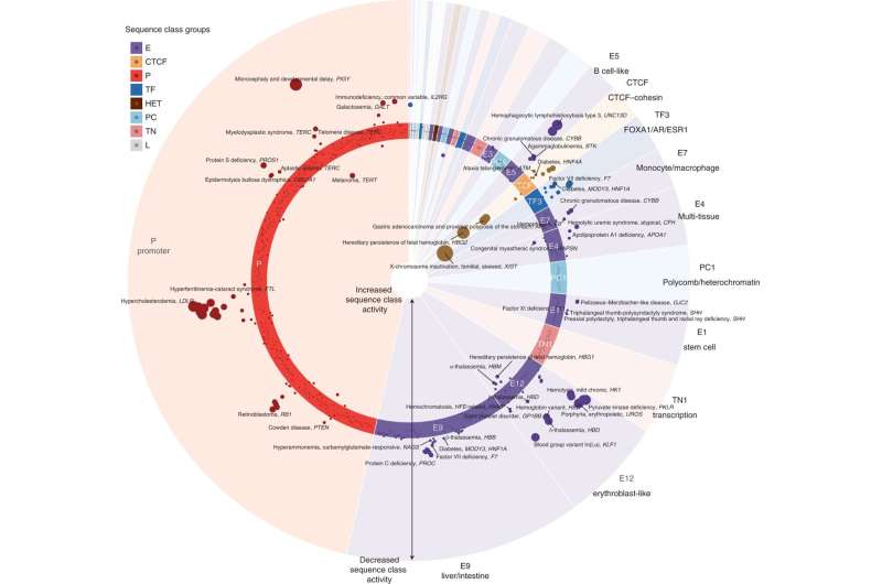 Artificial intelligence tools predict DNA's regulatory role and 3D structure