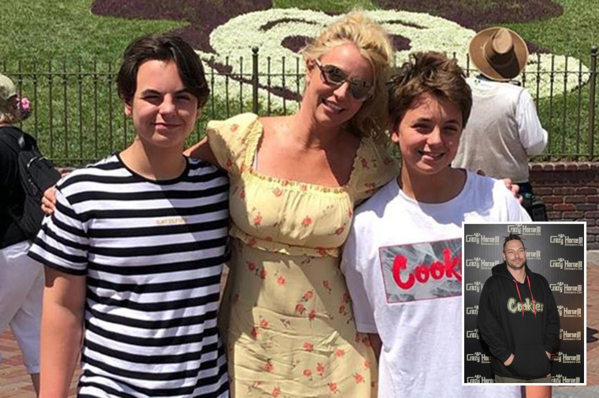 Britney Spears' teenage sons are choosing "not to see her," says their father Kevin Federline