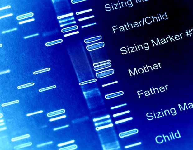 Heart failure is caused by mutations in various genes, study finds