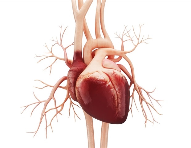 Individual genetic defects lead to heart failure in different ways, the consortium reports