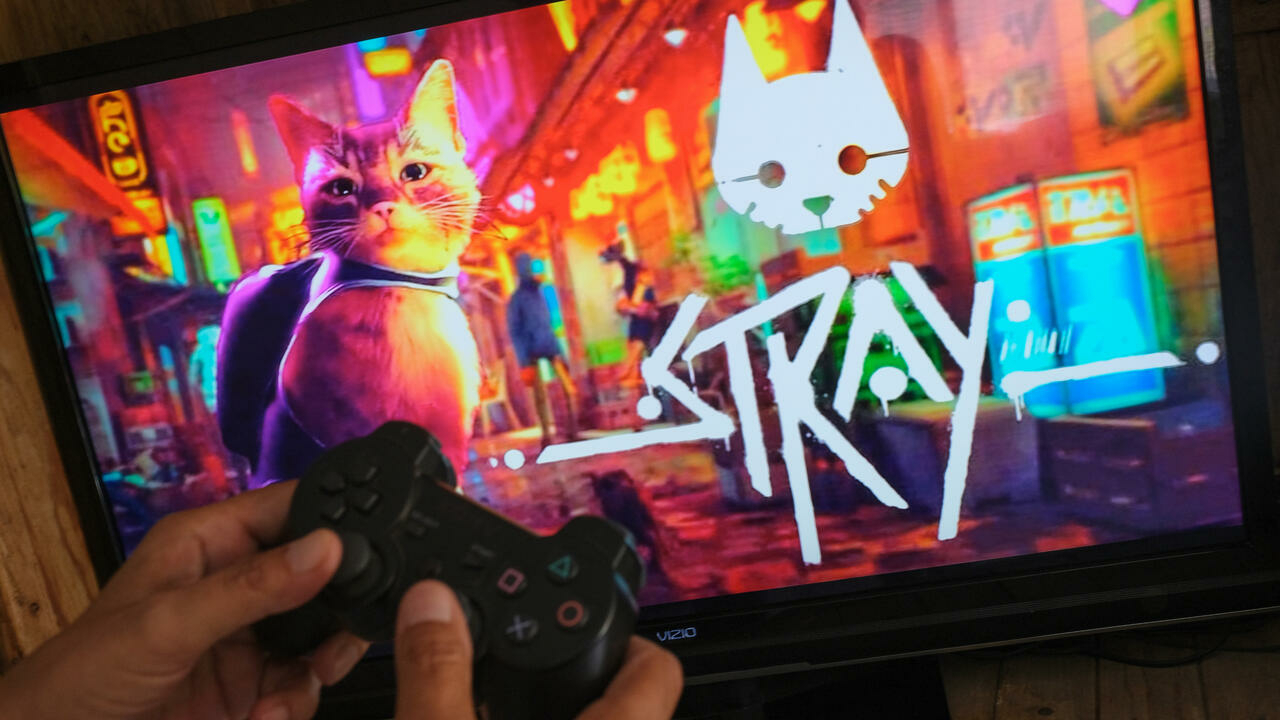 Purrfection: How the video game Stray banished cats