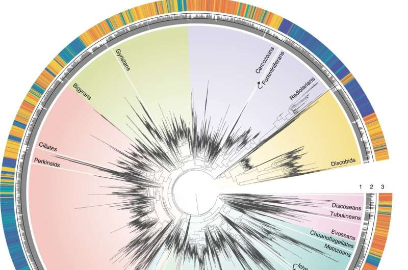 Researchers unveil key processes in marine microbial evolution