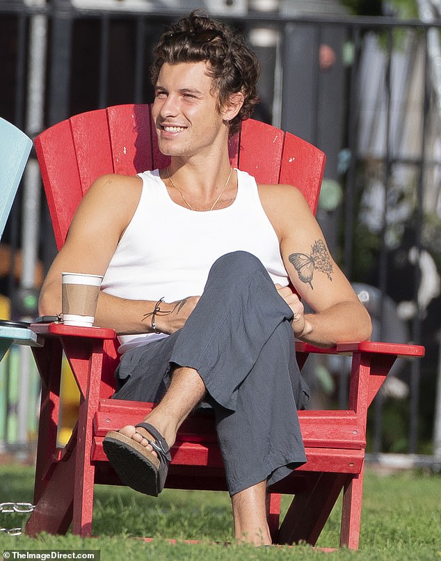 No demands: Shawn Mendes appeared to be having a good time relaxing in the sun in his hometown of Toronto on Thursday