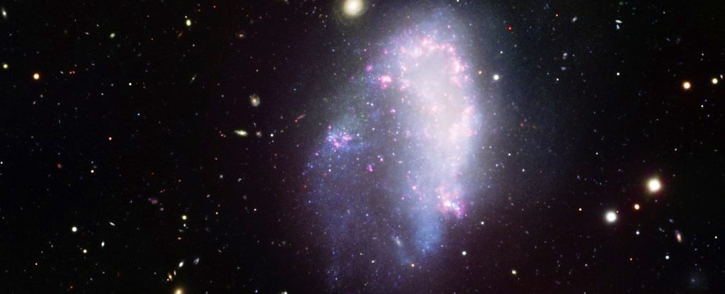 These dwarf galaxies appear to be devoid of dark matter, and that doesn't make sense