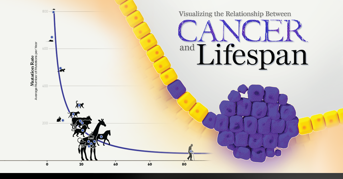 Visualizing the relationship between cancer and lifespan