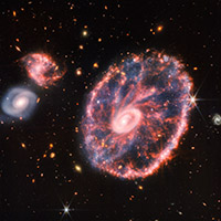 Webb captures stunning image of the Cartwheel Galaxy, revealing key details about star formation