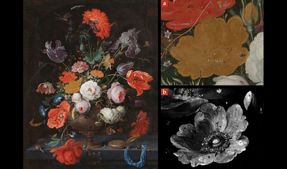 X-rays show how a 17th-century painting lost its color