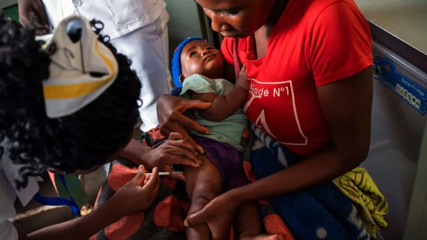 New malaria vaccine shows strong protection in global fight against deadly diseases |  CBC News