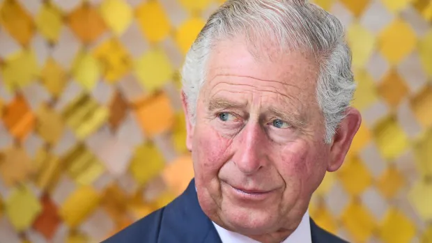 Charles as King: What Kind of Monarch Will He Be?  |  CBC News