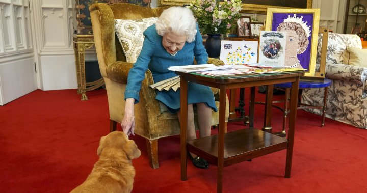 What will happen to Queen Elizabeth II's beloved dogs now?  - National |  Globalnews.ca