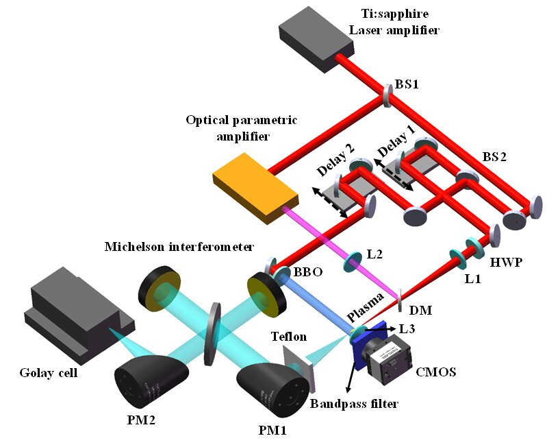 Anticorrelated plasma and THz pulse generation during two-color laser filamenting in air