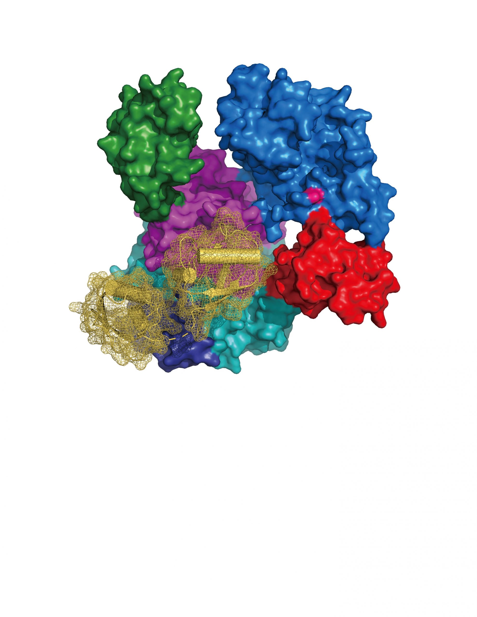 Not just a backup - the double specificity of UBA6