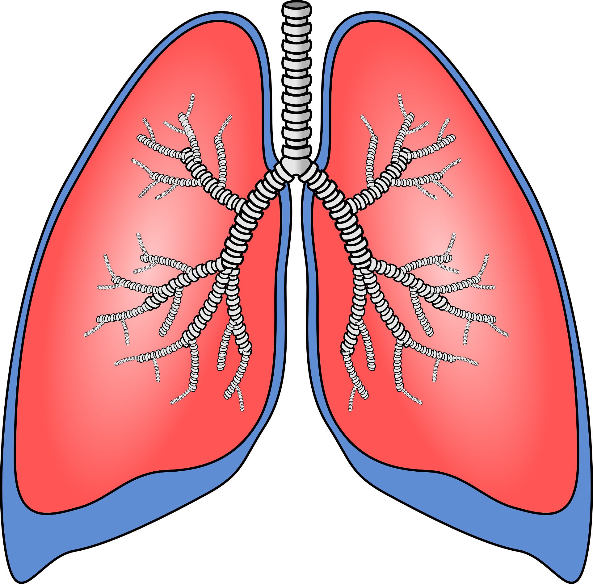 Scientists discover how air pollution triggers lung cancer