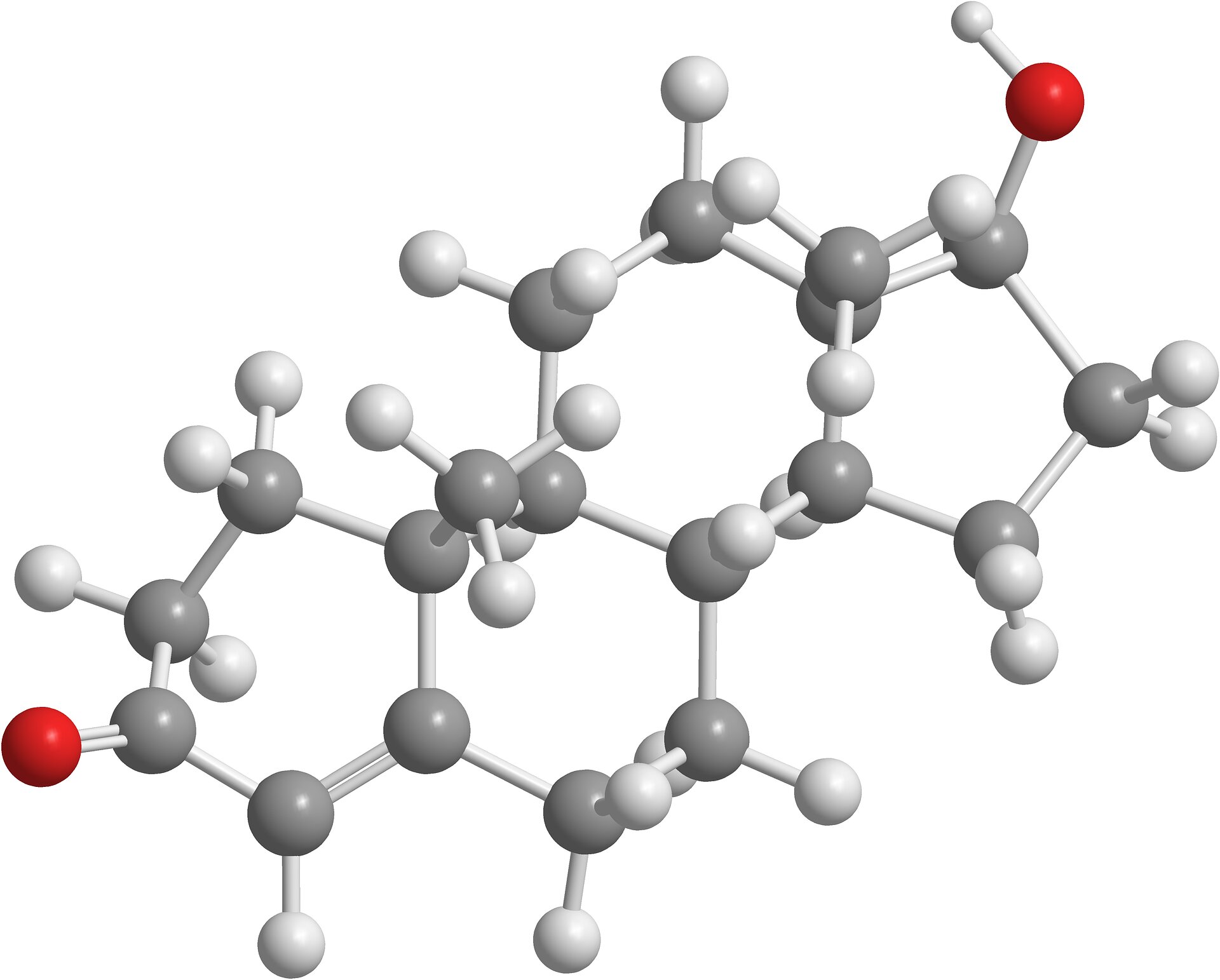 Blocking FNDC5, the precursor to the exercise hormone irisin, protects mice from cancer-induced cachexia