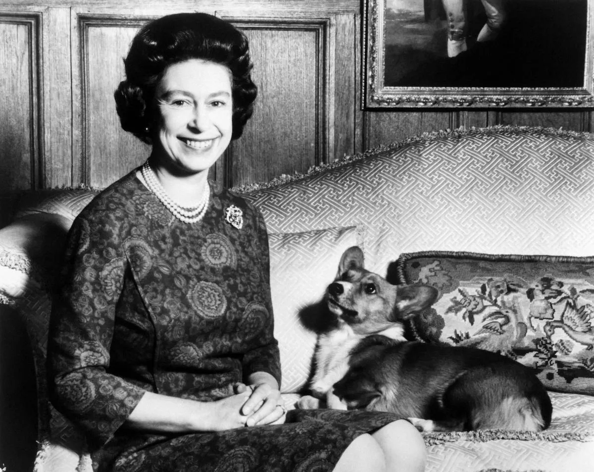 In this file photo taken on February 26, 1970 Queen Elizabeth II poses with her corgi dog.