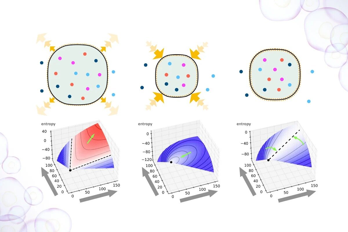 The thermodynamics of life are taking shape