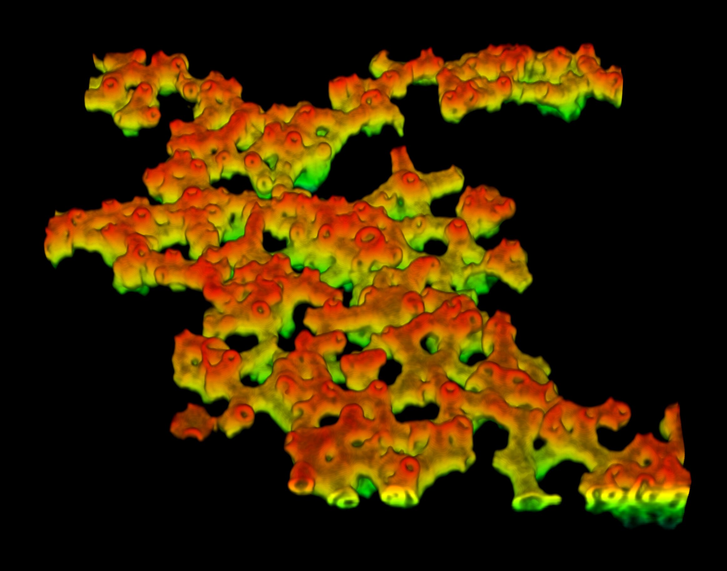 3D shaping of microscopic membranes underlying cellular processes