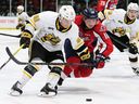 Sarnia Sting's Max Namestnikov (81) and Windsor Spitfires' Daniil Sobolev (10) chase the puck on Friday November 12, 2021 in Sarnia, Ontario.