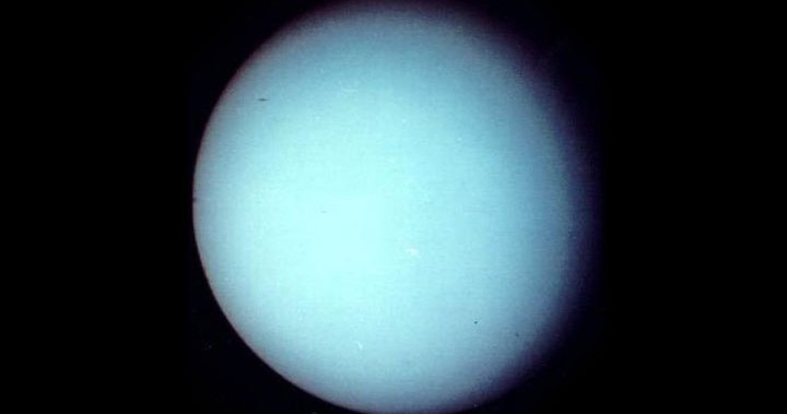 Twitter users asked for the Uranus probe to be named - and it went pretty much as you'd expect - National |  Globalnews.ca