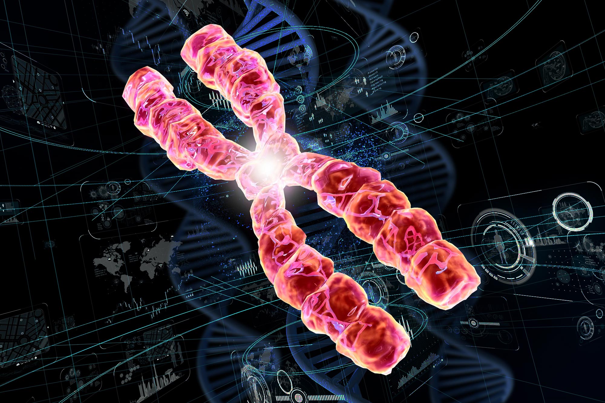 Telomeres DNA Genetics Illustration