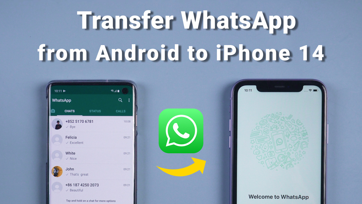 How to Transfer WhatsApp from Android to iPhone 14