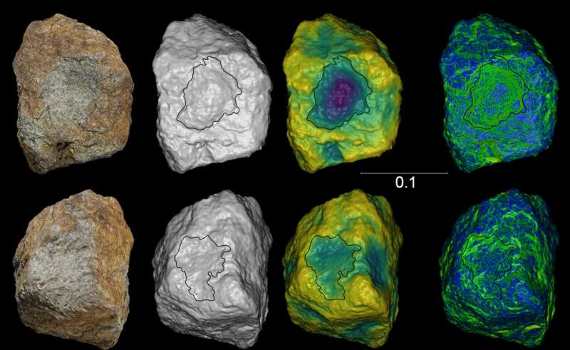 Chimpanzee stone tool variety