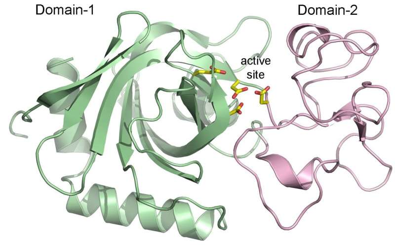 Mysterious soil virus gene seen for the first time