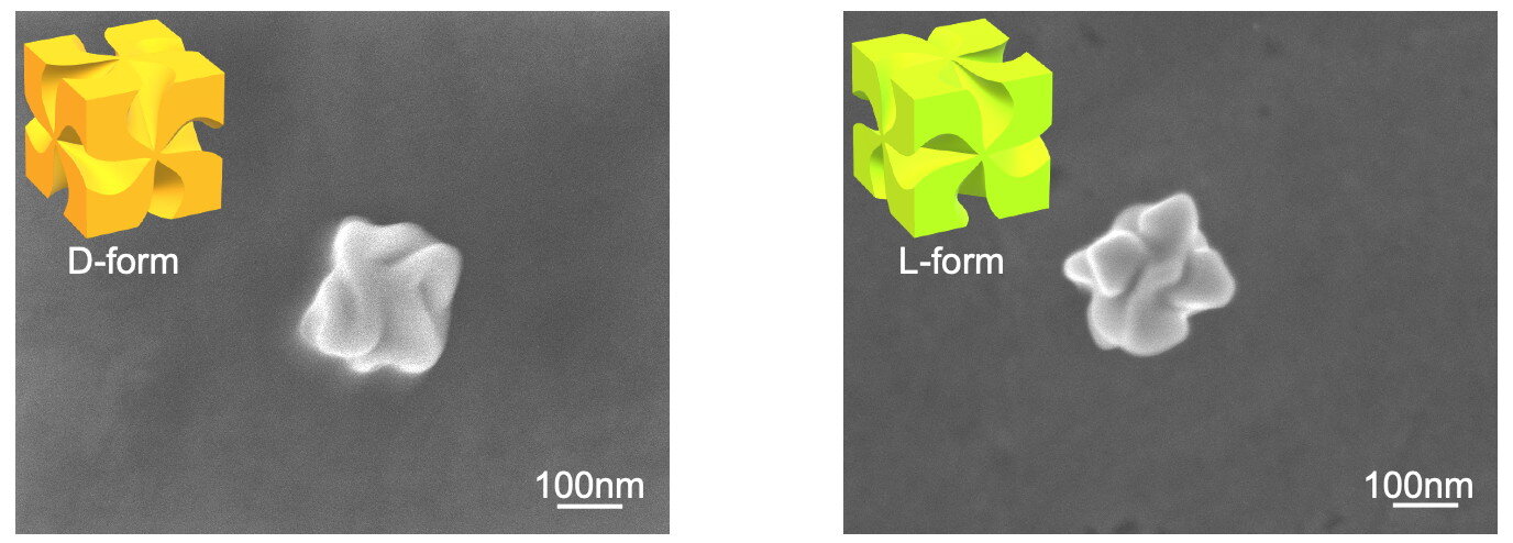 Differentiation of right-handed and left-handed particles by exposure to light