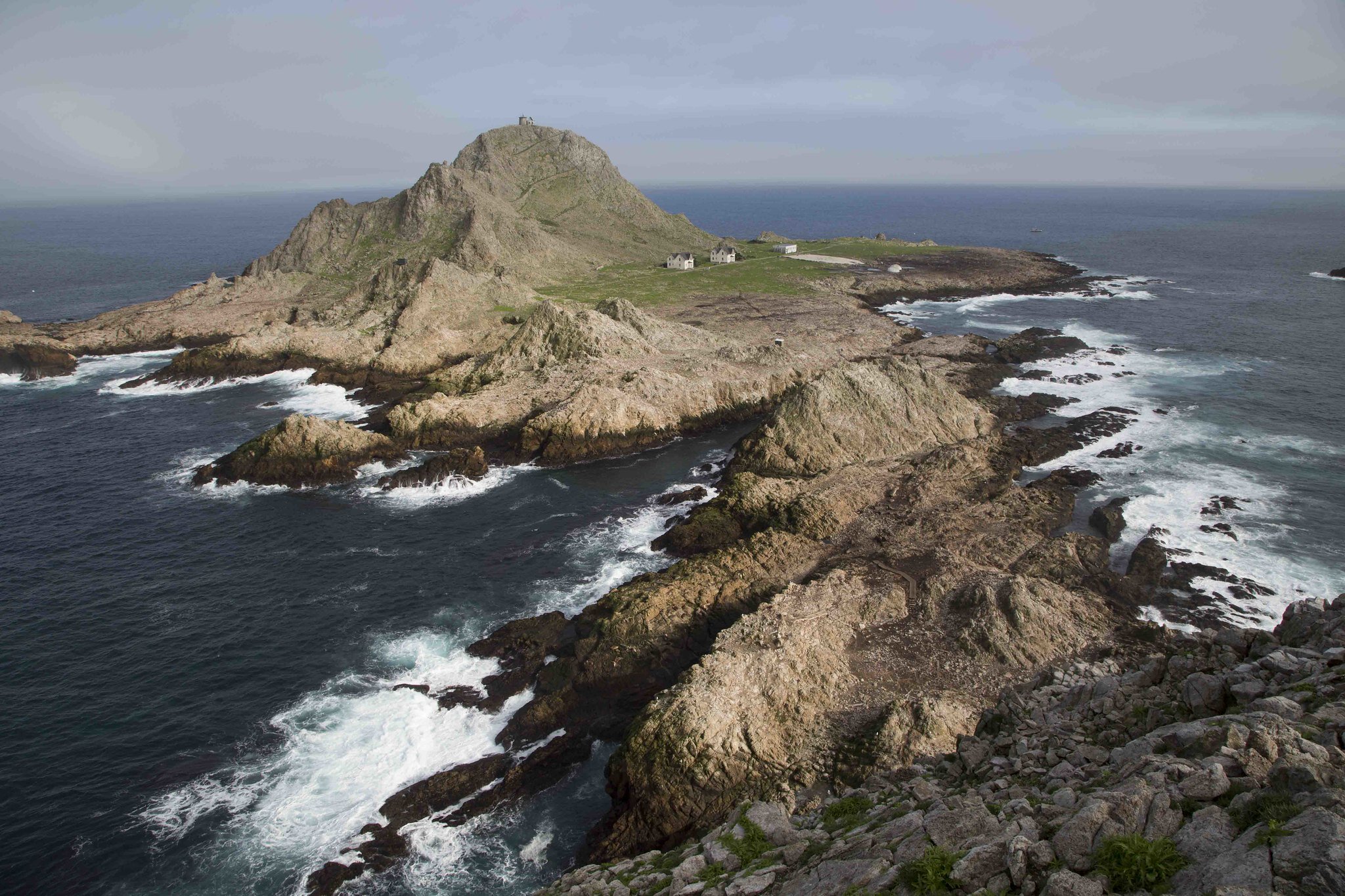 Small rodent, big appetite: Researchers identify the dietary impact of invasive mice on the Farallon Islands