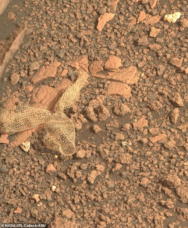 More recently, in June, Perseverance stumbled upon a piece of shredded Dacron web that helped it land safely on Mars