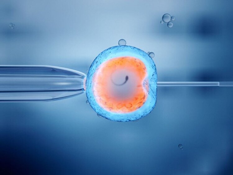 Are you looking for fertility treatment?  Now that eggs and sperm have a shelf life of half a century, here's what you should know.