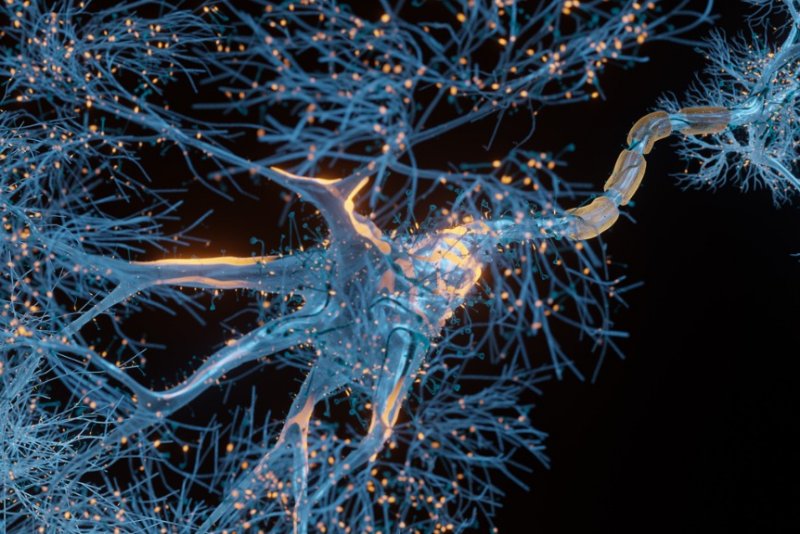 Neurodegenerative diseases can progress in newly identified patterns