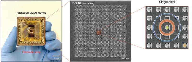 Neural network computing in water