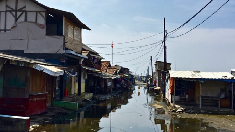 An international team of scientists is finding that many coastal cities around the world are vulnerable to sea level rise due to the country's rapid subsidence