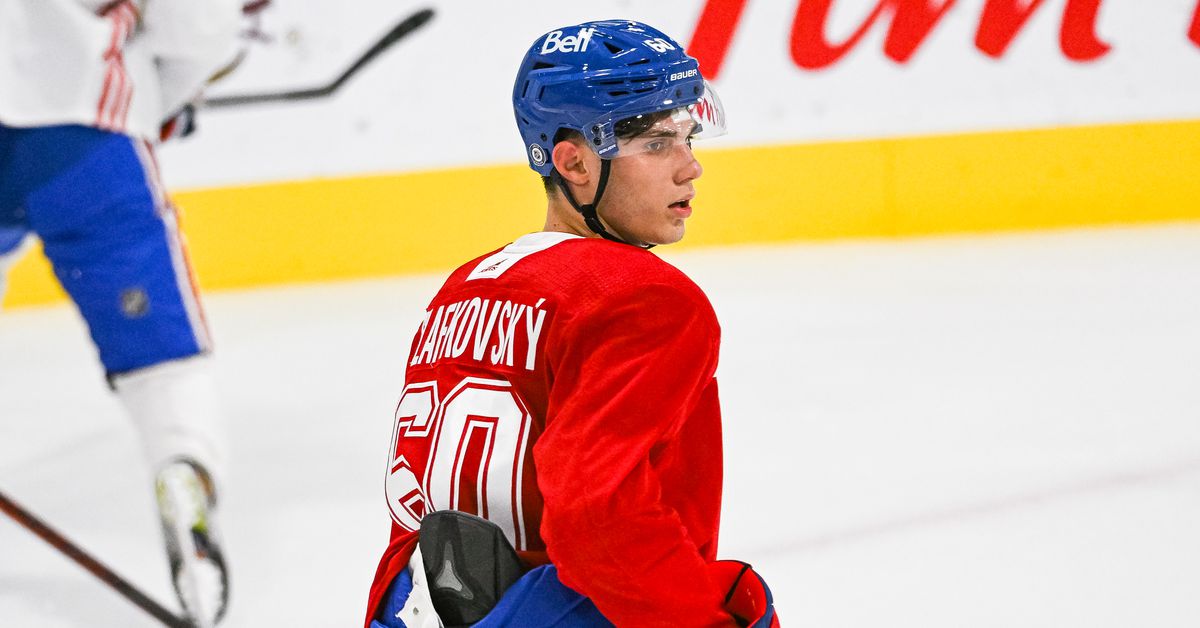 Canadien's impressions from day one of the Rookie Showcase in Buffalo