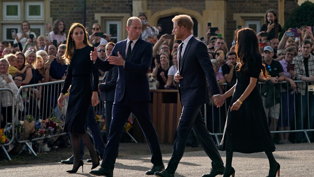 Charles III formally proclaimed King, Princes William and Harry appear together