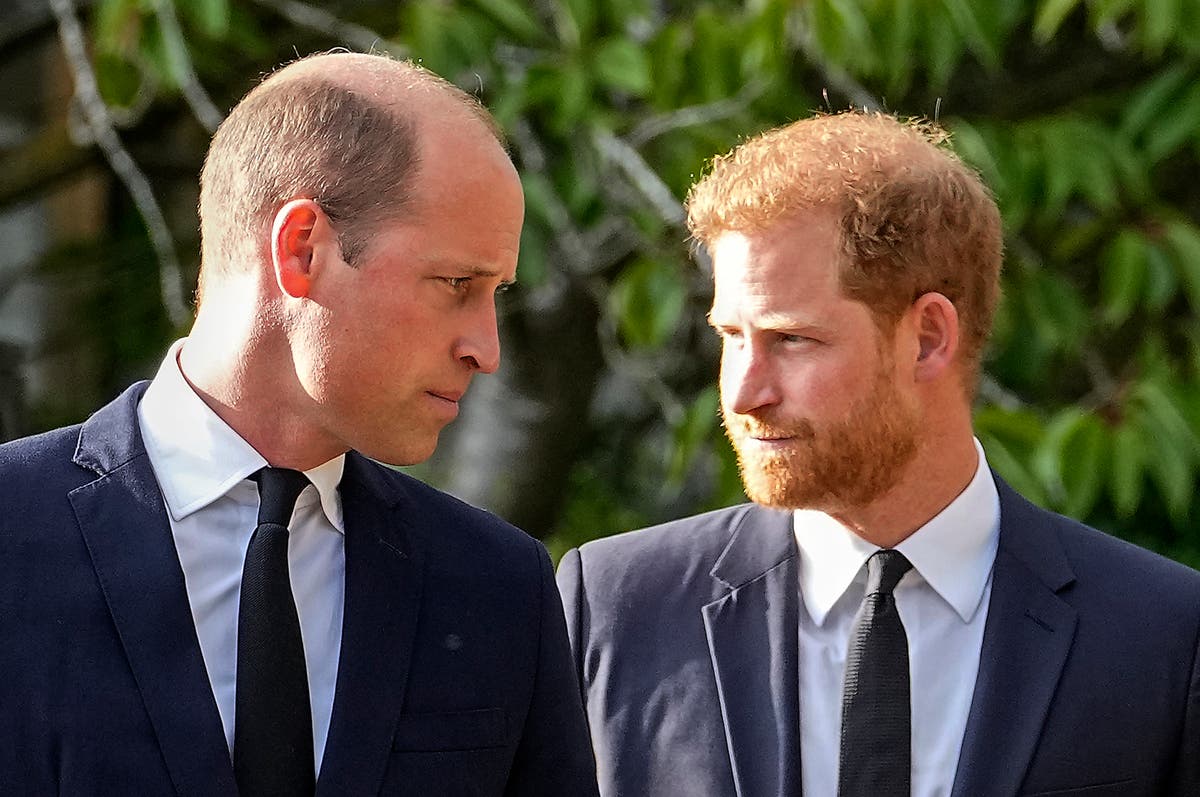 Everything royal pundits have said about Prince William and Prince Harry's reunion