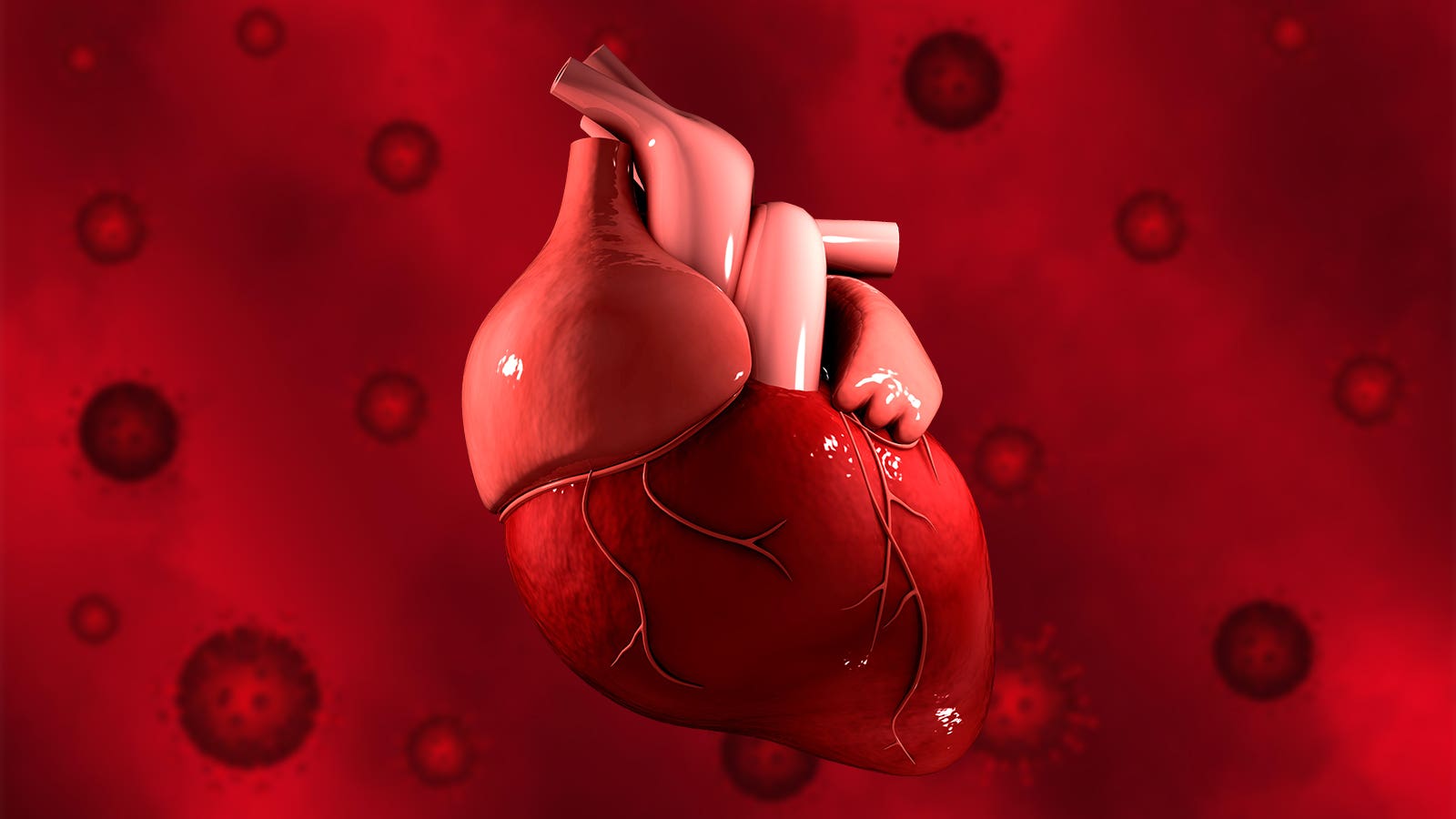 A computer rendering of a heart over a background of blurred covid viruses.