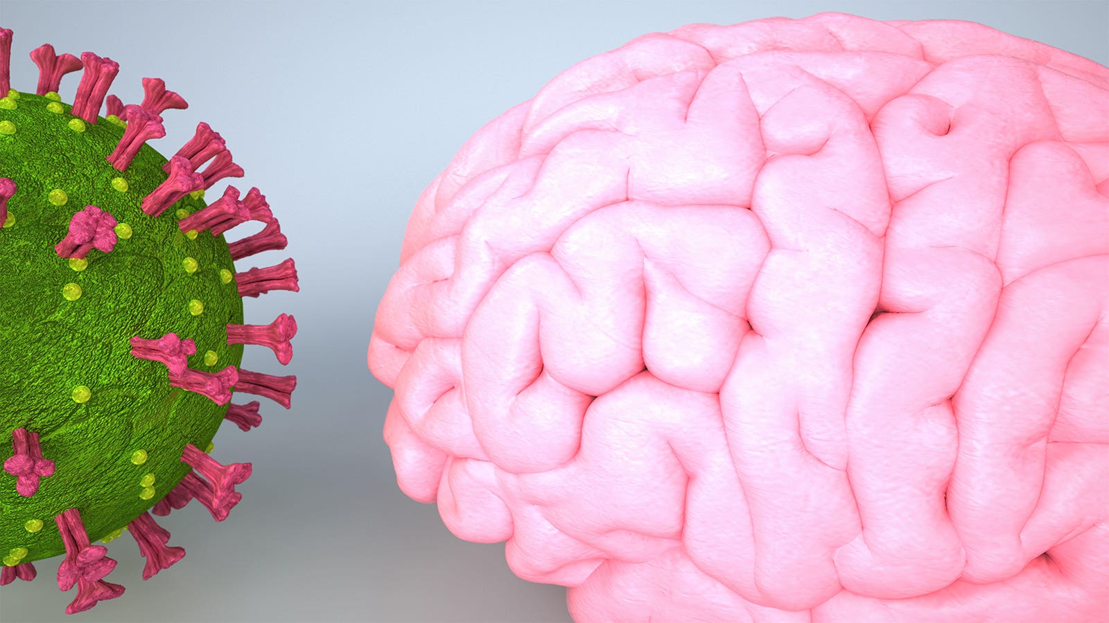 A computer rendering of a covid virus next to a human brain.