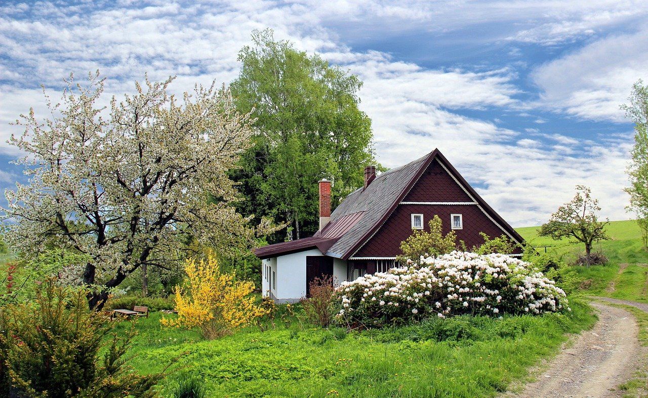 New Zealand study shows adding insulation to homes reduces asthma