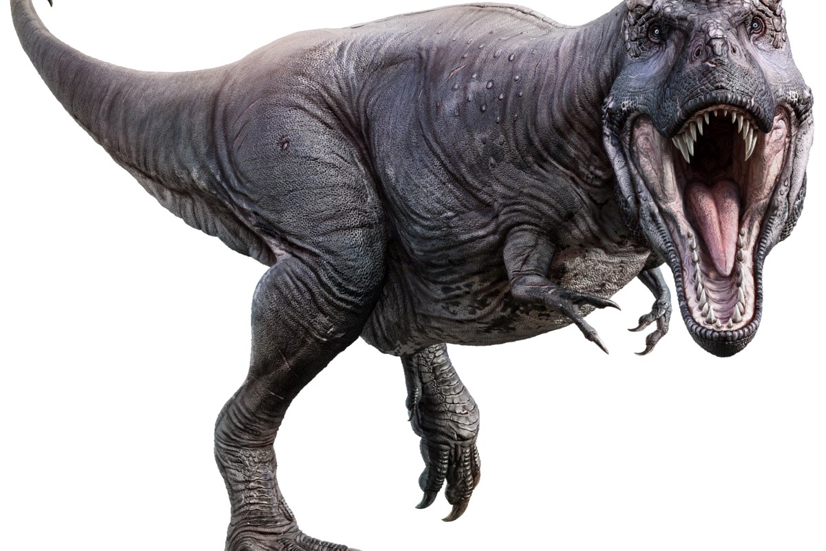 Newly discovered giant dinosaur has similarities with T-Rex