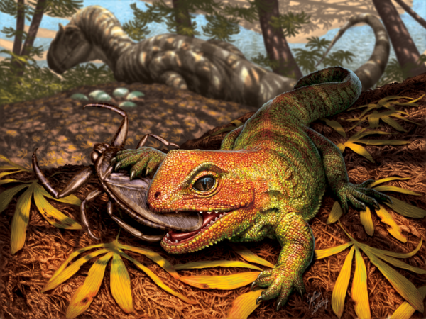 Researchers discover extinct prehistoric reptile that lived among dinosaurs