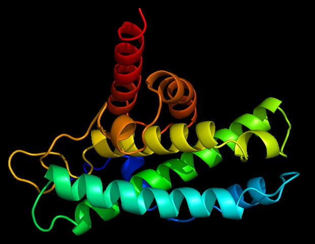 Review highlights role of retinol-binding protein-4 in nonalcoholic fatty liver disease